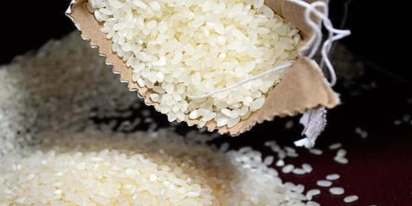 arroz cómo cereal para perros