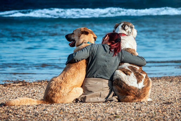 mujer en compañia de sus dos perros en la playa