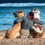 mujer en compañia de sus dos perros en la playa