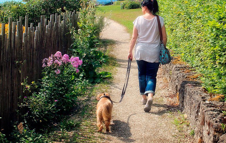 mujer paseando con su perro