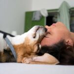 perro relajado junto a su humana