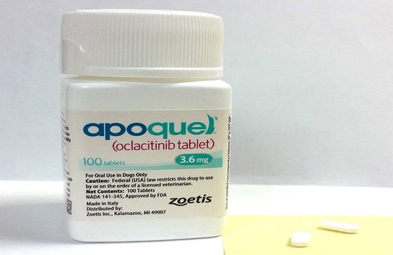 apoquel-3-6-mg-dermatol-gico-para-c-es-cartela-com-10-comprimidos