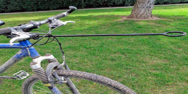 Bicicleta adaptada al Bikejoring