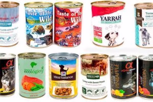 marcas de cómida húmeda para perros