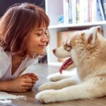 perro con buen temperamento