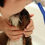 perro en la bañera