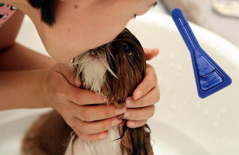 perro en la bañera