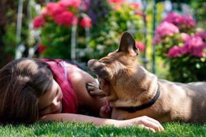 perro jugando con su humana