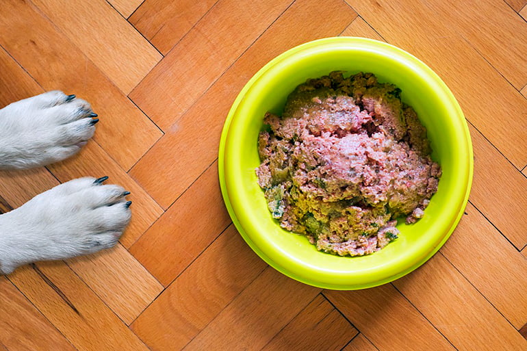 dog-next-to-your-food-ration "width =" 770 "height =" 513 "srcset =" https://soyunperro.com/wp-content/uploads/2020/07/perro-junto-a -su-ración-de-comida.jpg 770w, https://soyunperro.com/wp-content/uploads/2020/07/perro-junto-a-su-ración-de-comida-300x200.jpg 300w, https : //soyunperro.com/wp-content/uploads/2020/07/perro-junto-a-su-ración-de-comida-768x512.jpg 768w, https://soyunperro.com/wp-content/uploads/ 2020/07 / dog-next-to-your-food-ration-696x464.jpg 696w, https://soyunperro.com/wp-content/uploads/2020/07/perro-junto-a-su-ración -de-comida-630x420.jpg 630w "tailles =" (largeur max: 770px) 100vw, 770px
