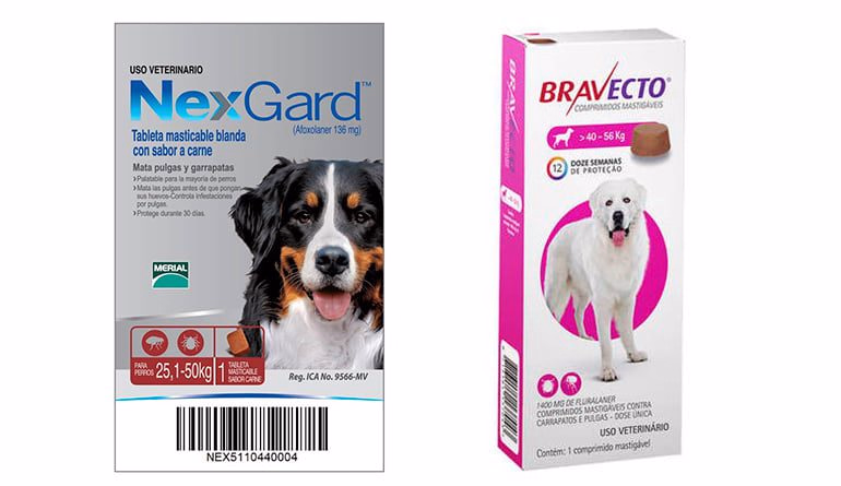 pastilla-nexgard-vs-bravecto