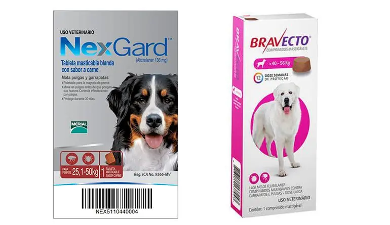 pastilla-nexgard-vs-bravecto