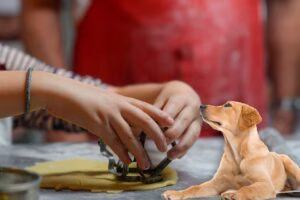 como hacer galletas para perros