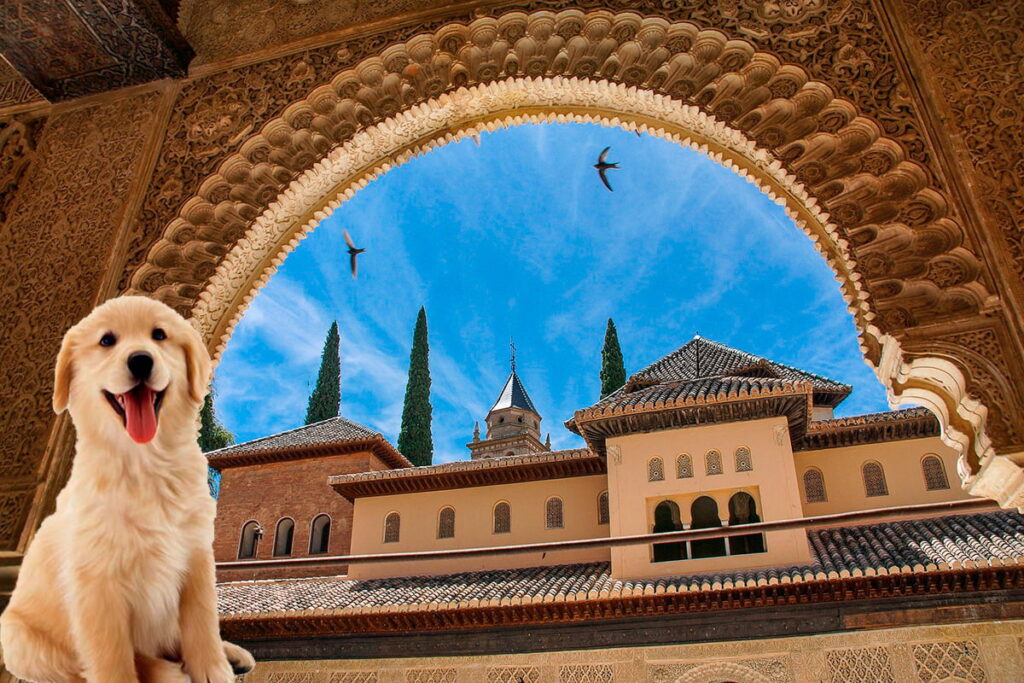 nombres para perros en arabe