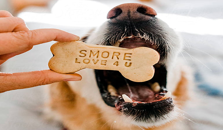 Comment faire des biscuits pour chiens faits maison