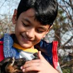 nino jugando con un perro