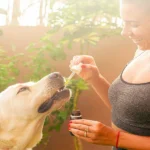 mujer dando la medicina a su perro