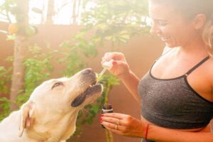 mujer dando la medicina a su perro