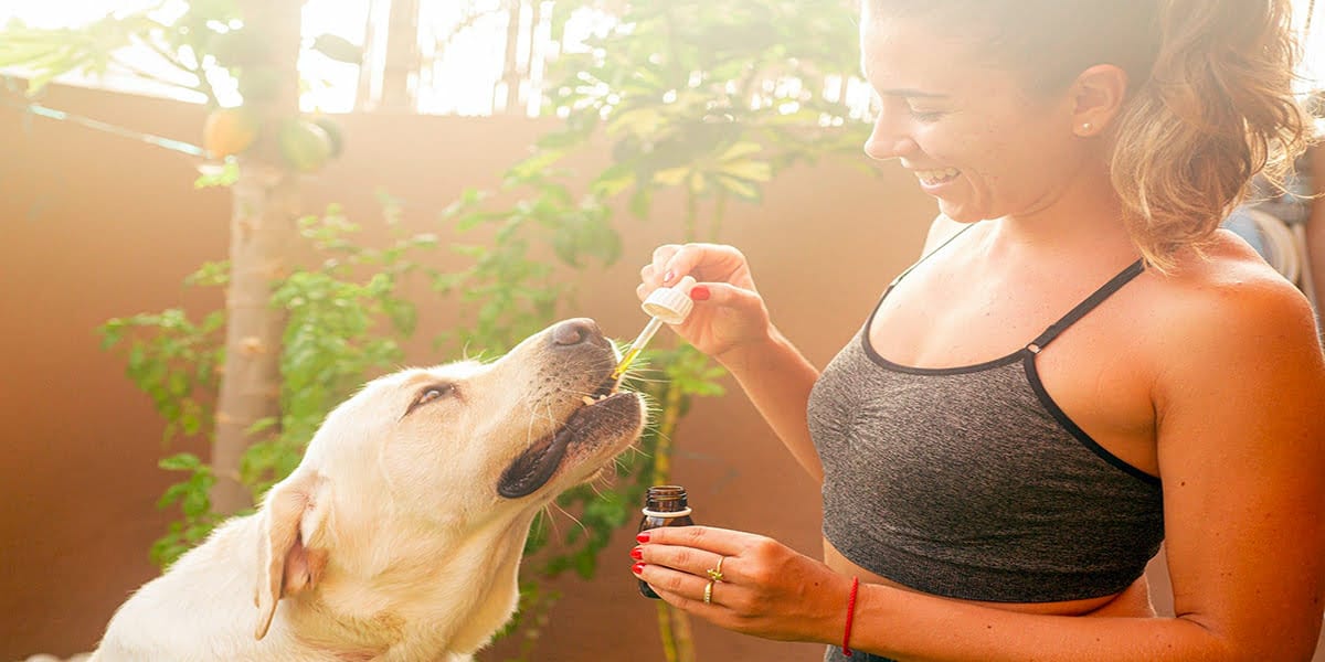 mujer dando la medicina a su perro