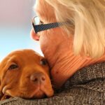 perro en brazos de una anciana