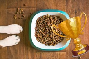 top mejor pienso para perros