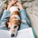 perro consuela a su humano