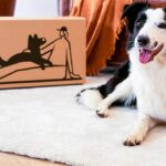 Pawit alimentacion canina