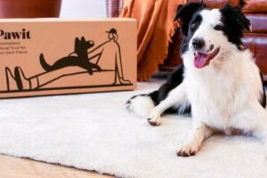 Pawit alimentacion canina