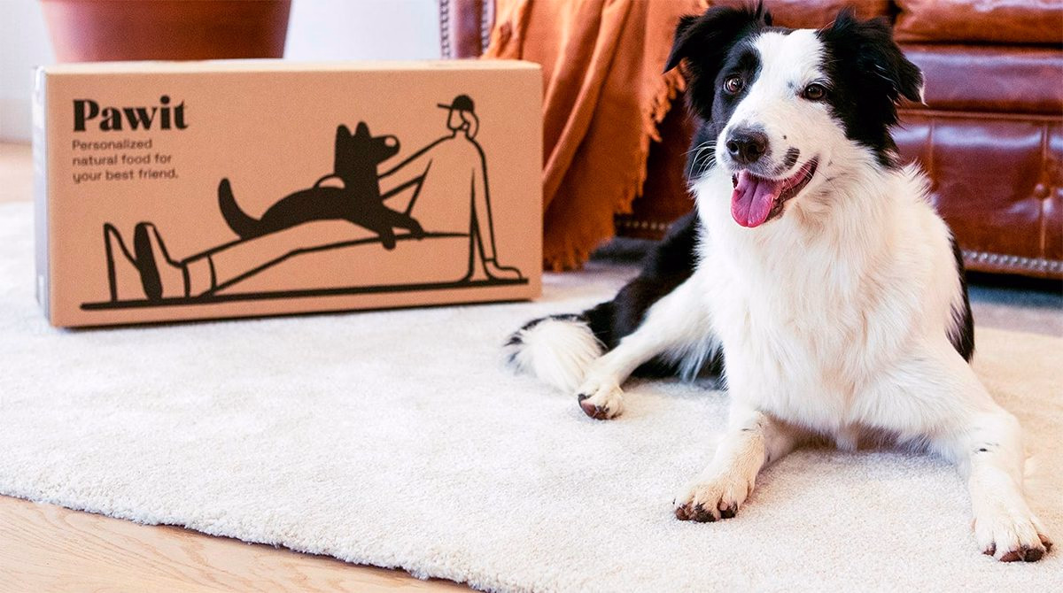 Pawit alimentacion canina