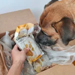 Bolsas dosificadas de comida Dogfy Diet