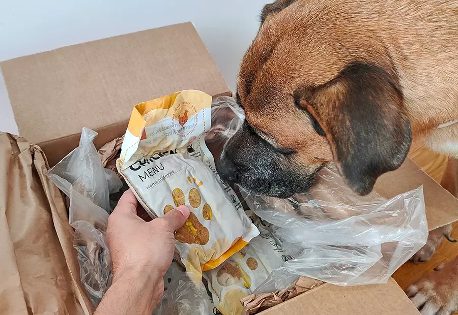 Bolsas dosificadas de comida Dogfy Diet
