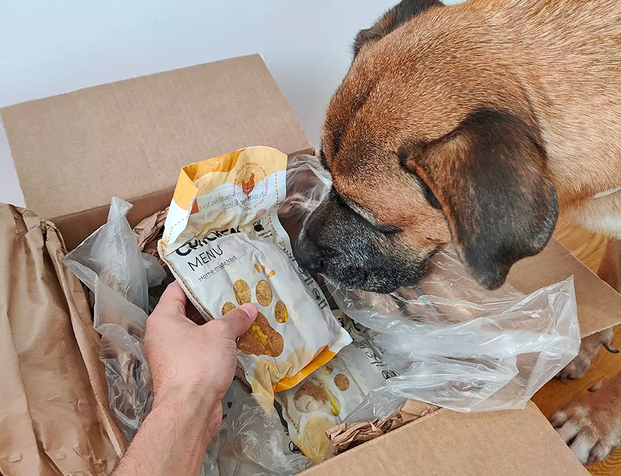 Pasando la inspeccion de calidad olfativa a Dogfy Diet