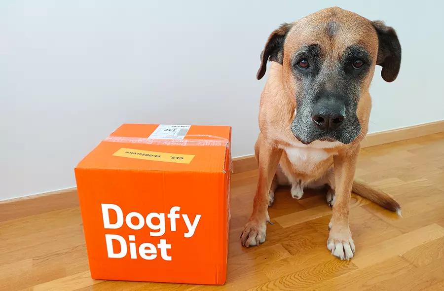 Vigilando la comida Dogfy Diet