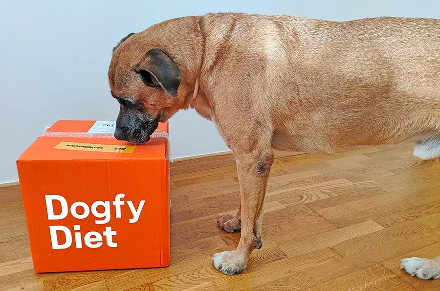 Yako intentando abrir la caja de Dogfy Diet