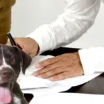 firma de poliza de responsabilidad civil