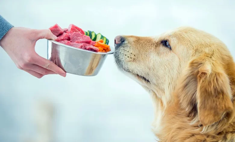 transicion de pienso procesado a comida natural en perros