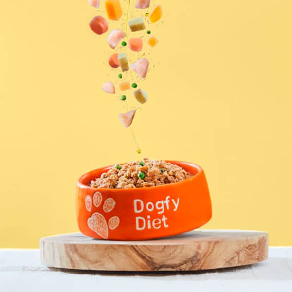 Dogfy diet pollo