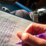 Opiniones sobre la Alimentación Natural