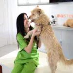¿Cómo trabajar con perros?