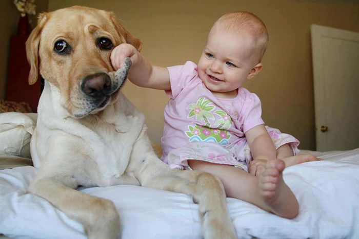 PERRO CON BEBE