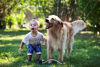 niño y perro jugando