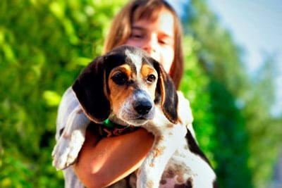 Escultor Absolutamente Normal Razas de perros para Niños - Las mejores por su temperamento con ellos